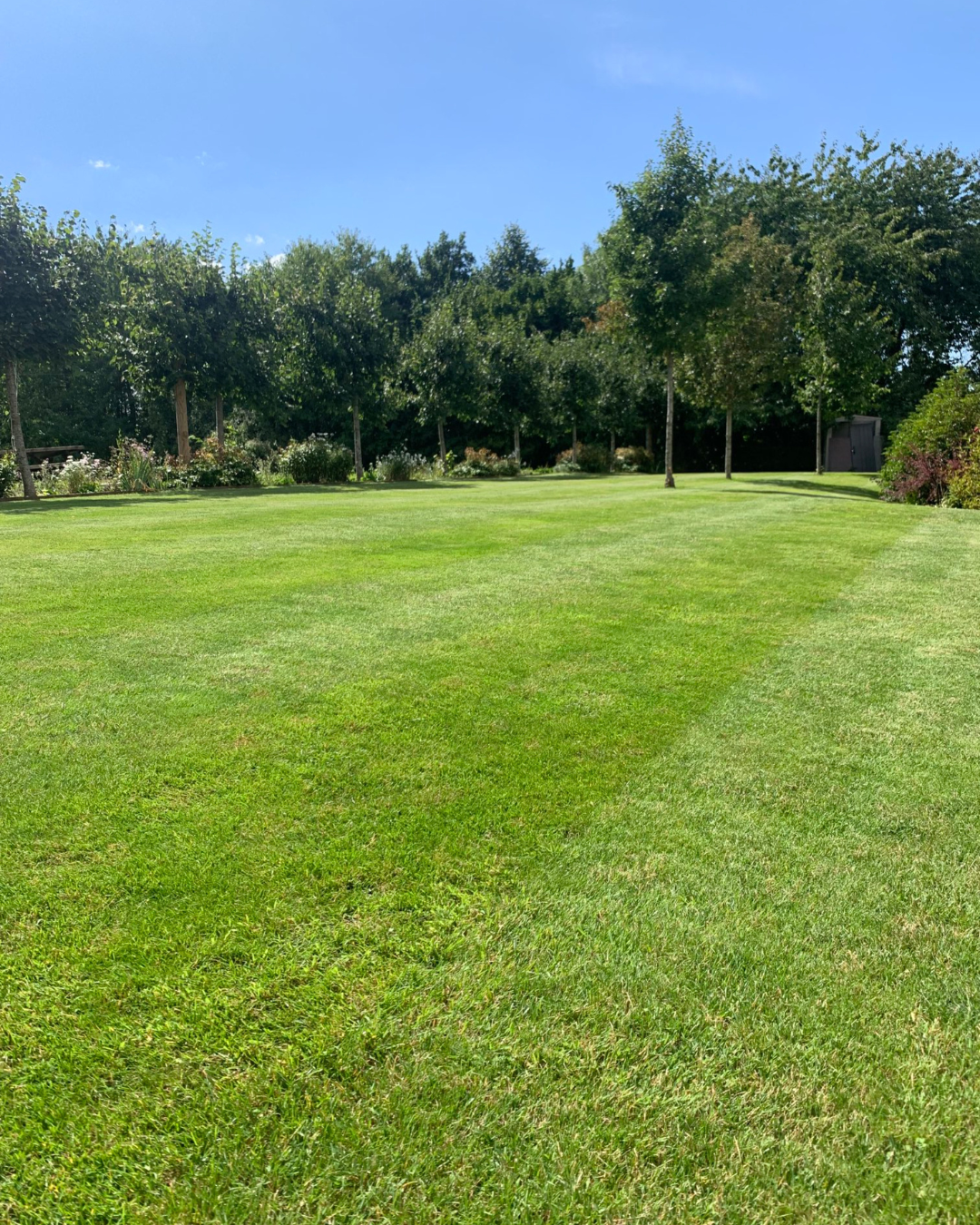 Transformez votre jardin avec du gazon en placage naturel à Saint-Cyr-sur-Loire en centre-Val-de-Loire