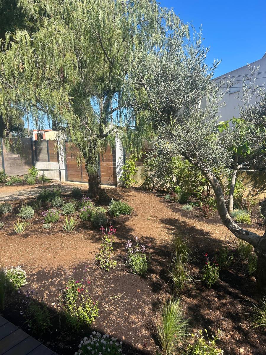 entretien et remise en état de jardin à Loches
