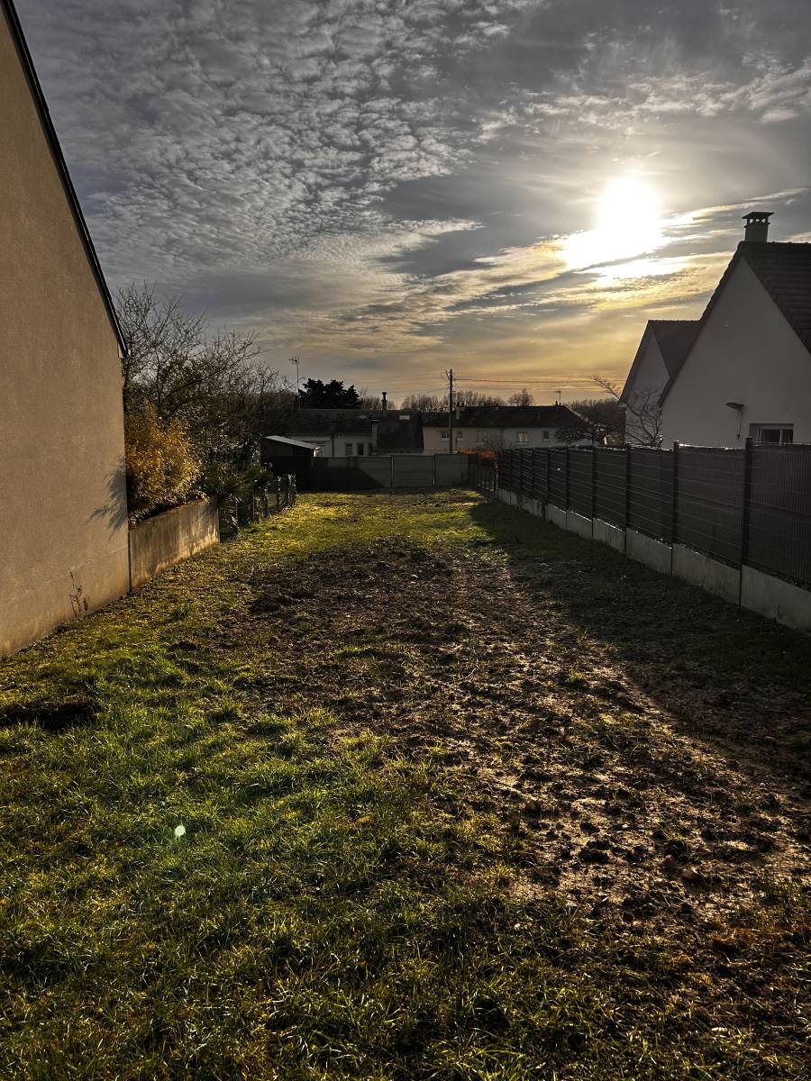 Abattage de 15 arbustes fruitiers et arrachage des souches pour viabilisation d’un terrain à Saint-Martin-le-Beau à côté de Montlouis-sur-Loire