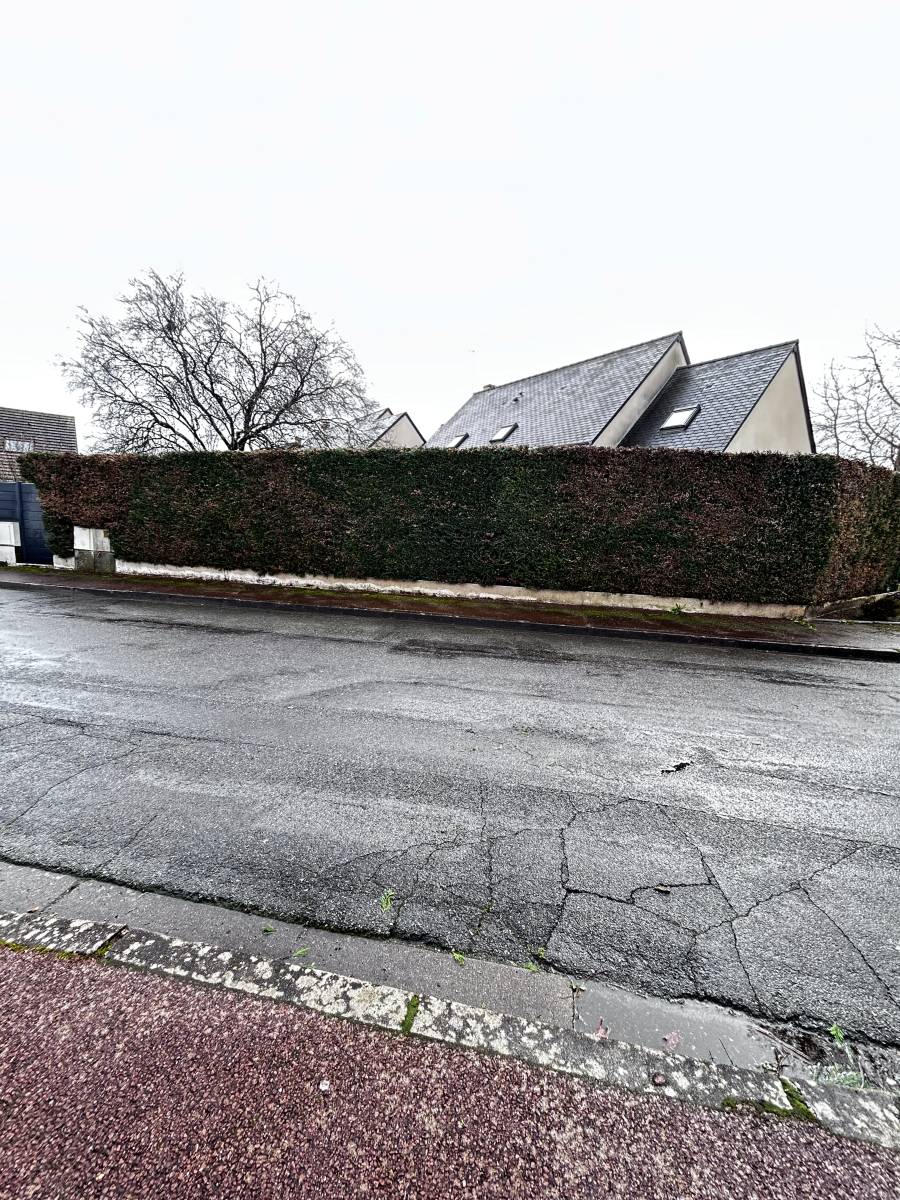 Taille d’entretien sur une haie de cyprès à Chambray-lès-Tours à côté de Saint-Avertin