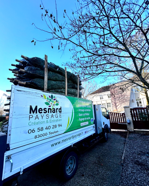 Vente de sapin avec livraison offerte à Chambray-lès-Tours près de Tours 37