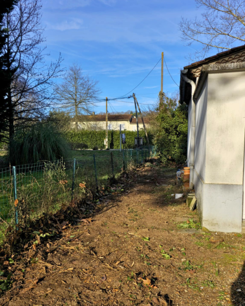 Résultat de notre intervention pour abattage d'une haie et désouchage à Larçay près de Amboise