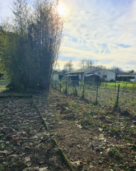 Trouver un jardinier pour abattre une haie et désoucher les racines à Larçay près de Chambray les tours
