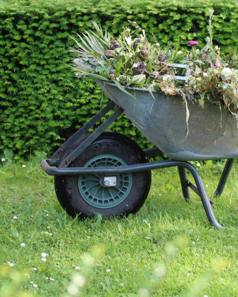 Tout savoir sur les OLD : Obligation Légale de Débroussaillement en Indre et Loire 37