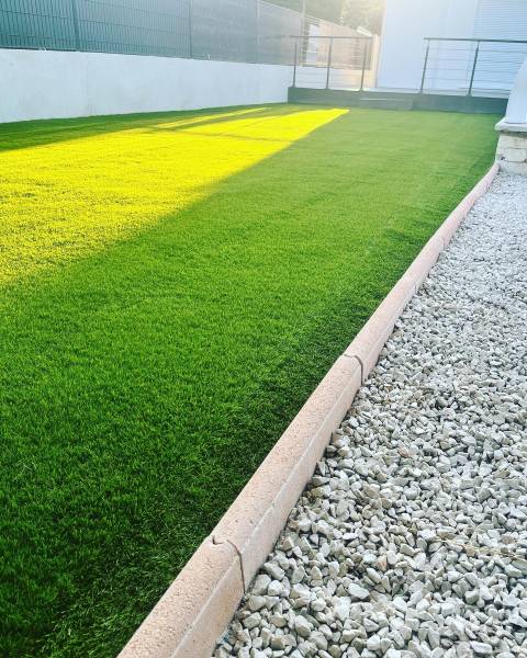 Relevage du poil avec brosse professionnel