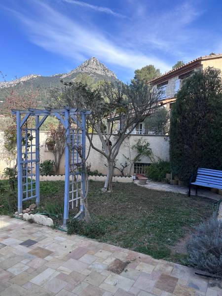 Quel est le prix et la meilleure période pour faire tailler un olivier dans le Var 83 ?