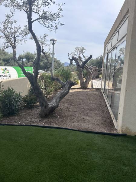 Entretien de jardin avec désherbage 