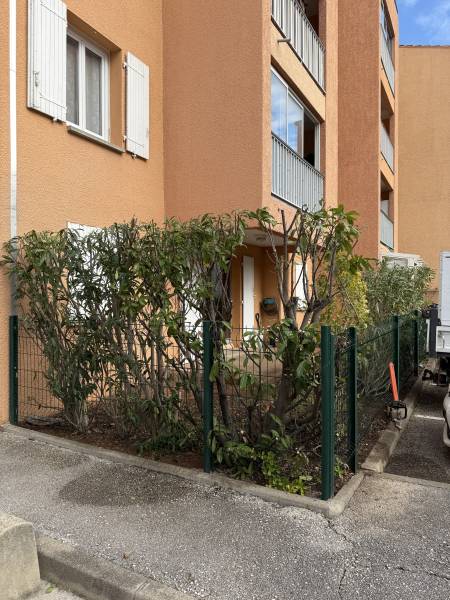 Haies après la remise en état