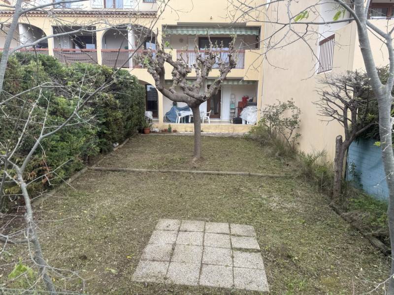 Taille d’un murier platane à Saint Cyr sur Loire en région Centre Val de Loire