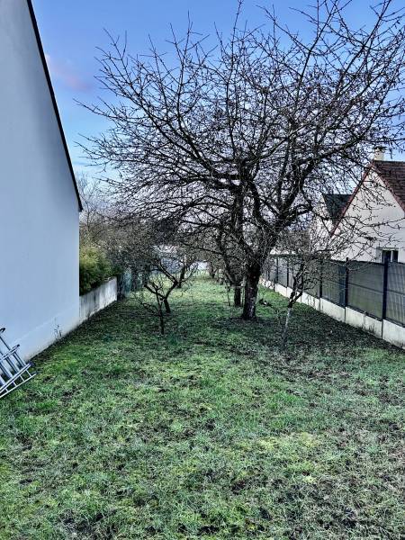 Arbres fruitiers avant abattage par nos jardiniers professionnels à Saint-Martin-le-Beau près de Bléré