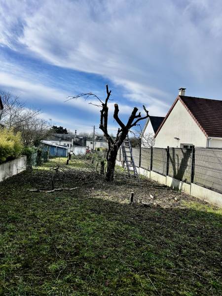 Intervention de notre entreprise de jardiniers professionnels à Saint-Martin-le-Beau à côté de La Croix-en-Touraine