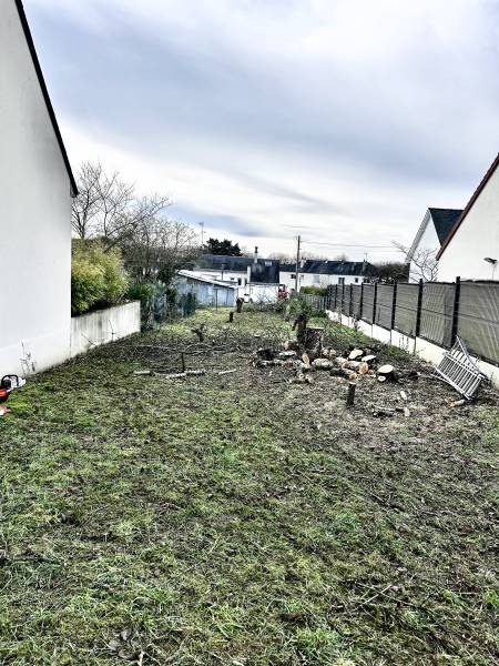 Abattage et désouchage d'arbres sur un terrain pour un projet immobilier à Saint-Martin-le-Beau à côté de Dierre