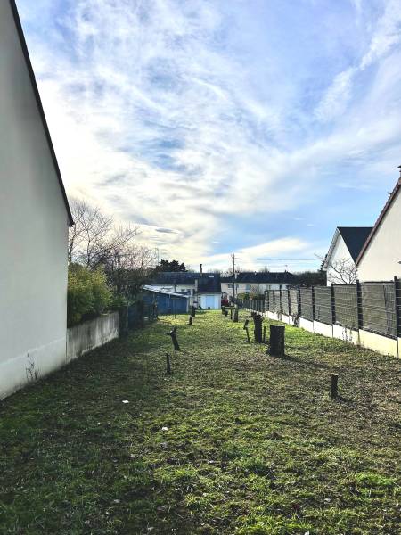 Faire appel à un jardinier professionnel pour faire abattre et désoucher des arbres à Saint-Martin-le-Beau à côté de Noisay