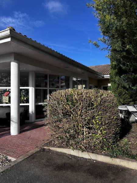 Entretien d'arbres et arbustes à Véretz à côté d'Amboise