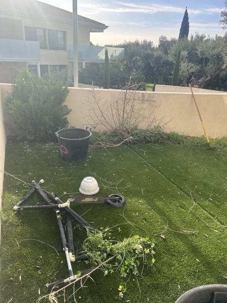 Taille et désherbage dans un jardin