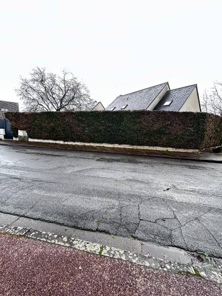 Taille d’entretien sur une haie de cyprès à Chambray-lès-Tours à côté de Saint-Avertin