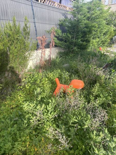 Sol à désherber dans un jardin à La Farlède près de Toulon