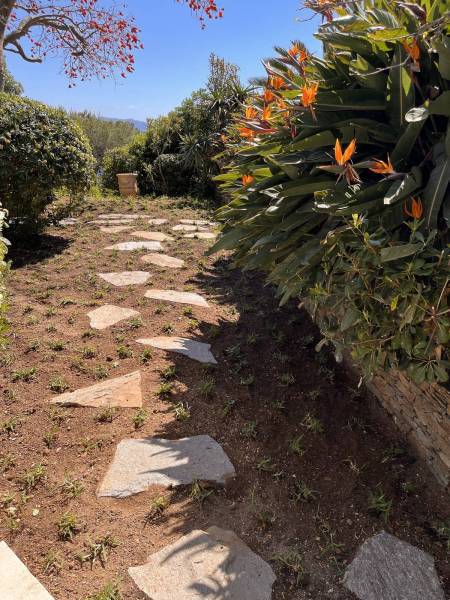 Aménagement de jardin avec plantation d'un gazon résistant : le kikuyu à Hyères 83