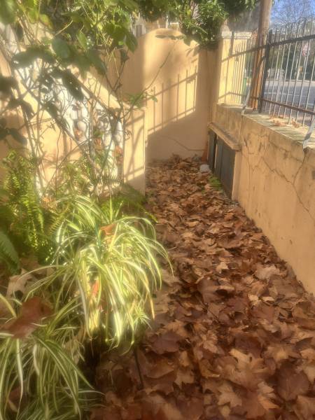 Retirer feuilles mortes entretien jardin