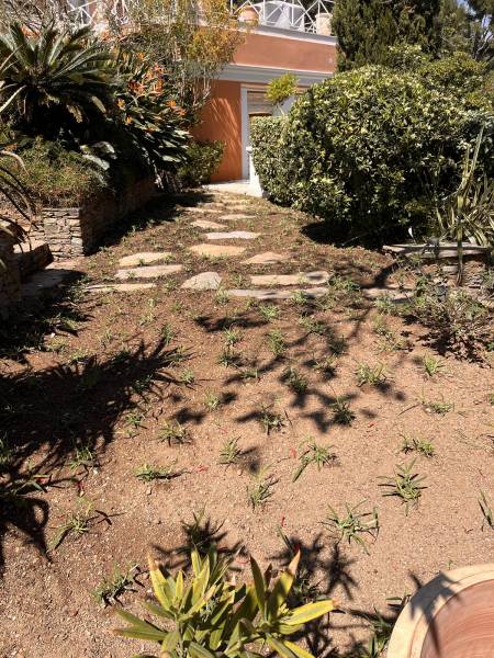 Aménagement d’un espace extérieur avec une pelouse synthétique 