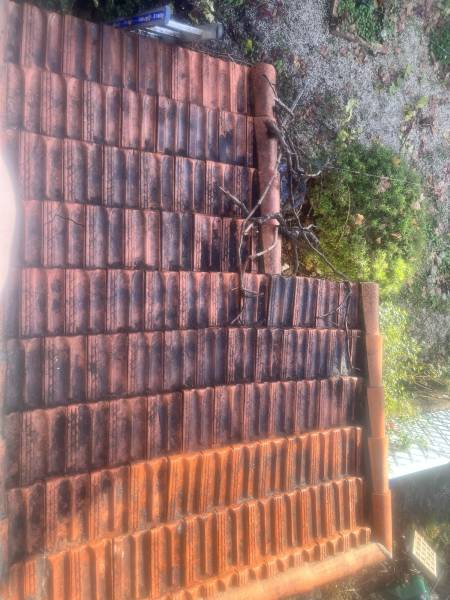 Nettoyage extérieur jardinier