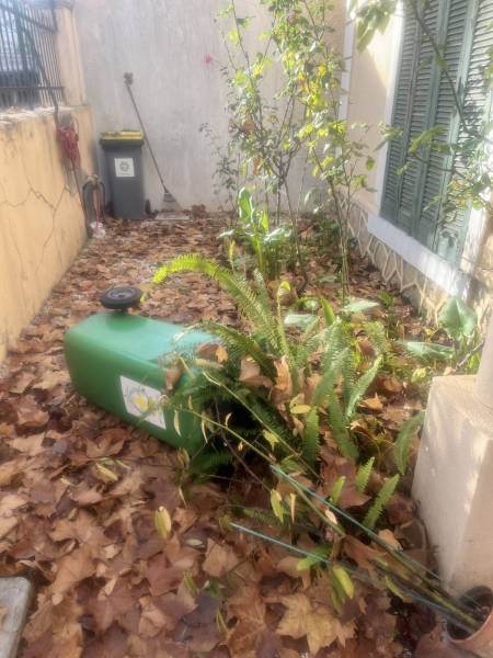 Jardin à nettoyer et remettre en état pour l'été