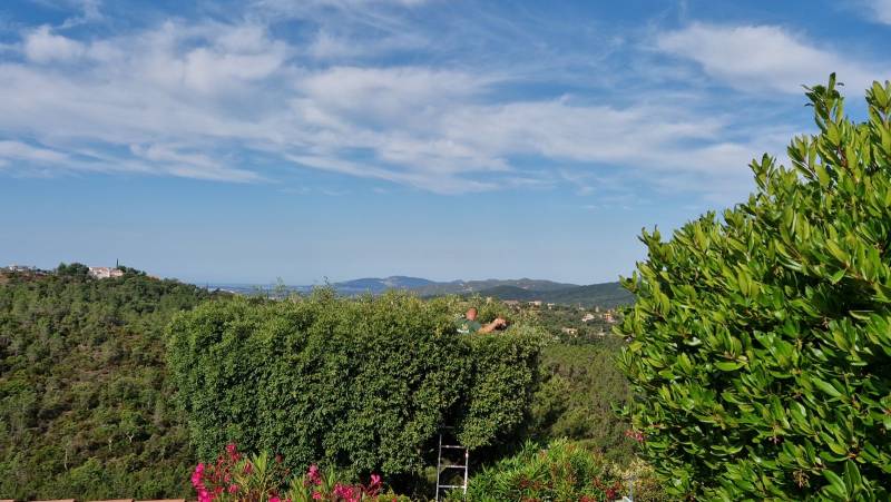 Faire appel à un professionnel pour tailler un arbre dans son jardin dans le Var