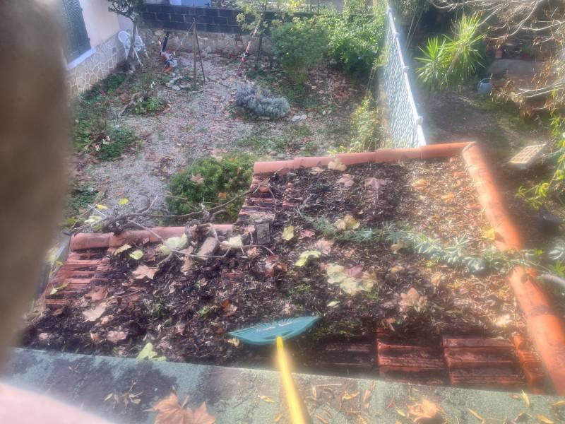 Nettoyage toit abris de jardin