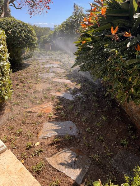 Plantation d'un gazon ultra résistant grâce à des godets de kikuyu