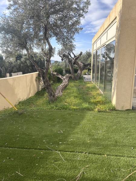 Jardin non entretenu que nous avons remis en état