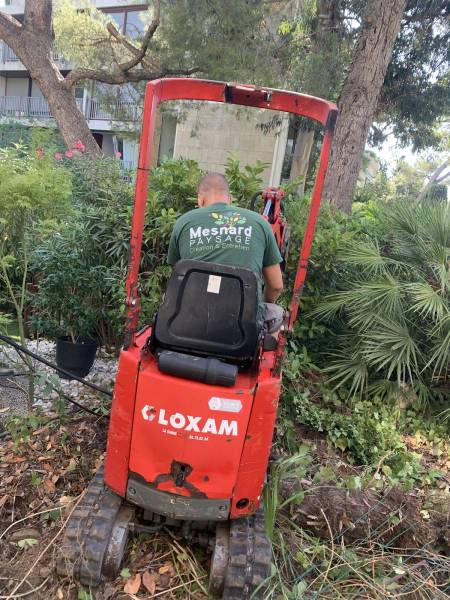 Jardinier pour arracher une haie à l'aide d'une mini pelle