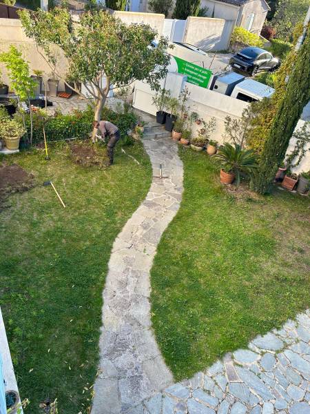 Gazon naturel en mauvais état à Saint Avertin en Indre-et-Loire