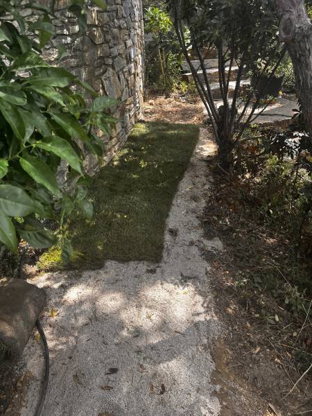 Aménagement d'un jardin avec un gazon en rouleau naturel