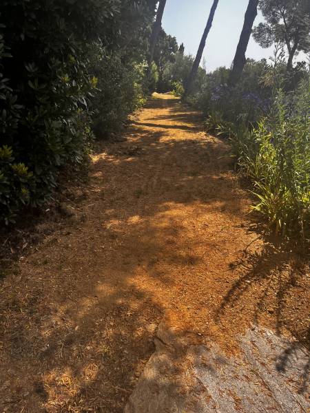 Création d'un espace extérieur à Bormes-les-mimosas
