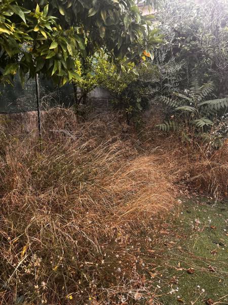 Nettoyage et aménagement d'un jardin à Toulon 