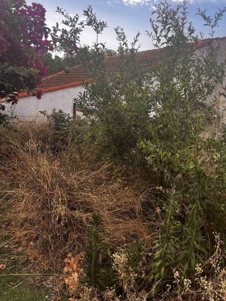 Remise en état d’un jardin de 40m2 avec pose d’un gazon artificiel au Beausset près du Castellet