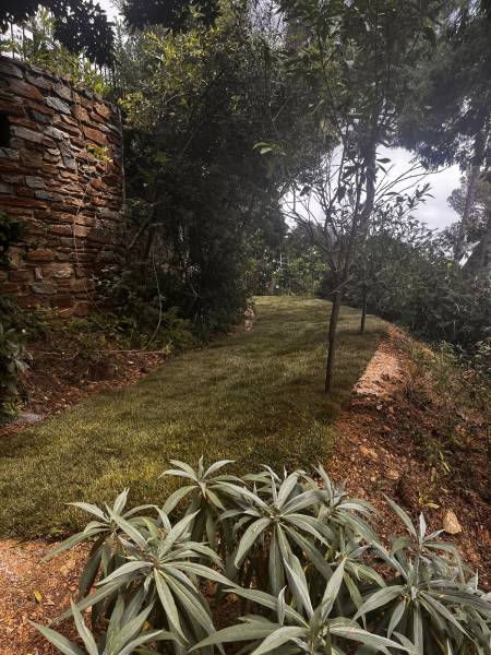Aménagement d'une pelouse dans un jardin en restanques