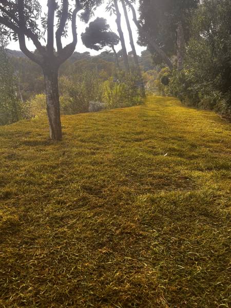 Pose d'un gazon de plaquage naturel dans le var
