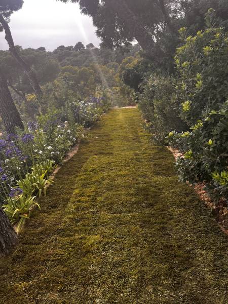 Installation d’un gazon en rouleau naturel au Cap Bénat