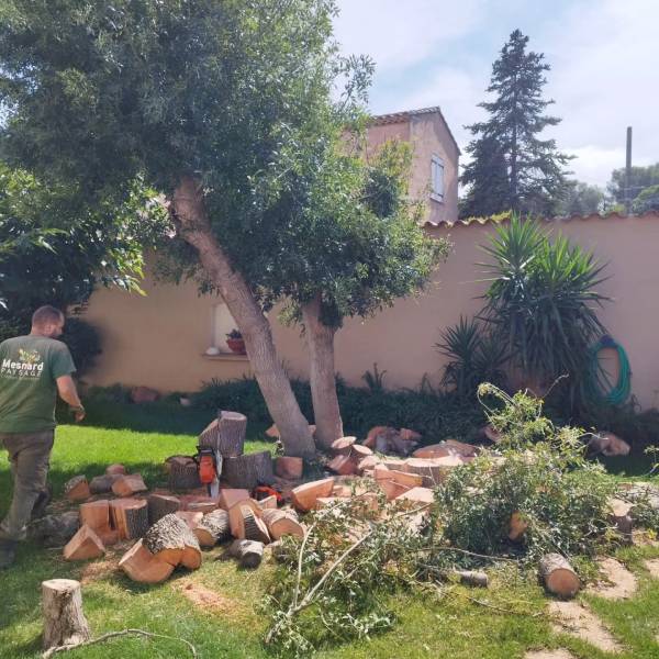 Nettoyage du chantier après l'abattage d'un frêne