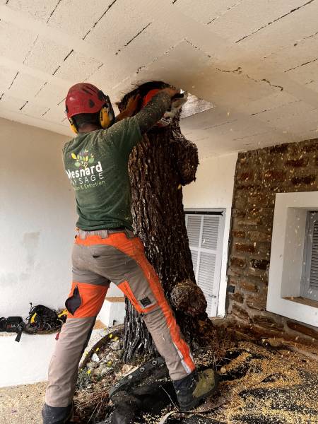 Faire appel à un jardinier expérimenté 