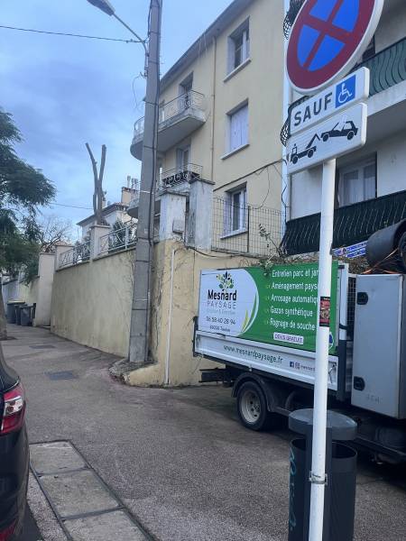 Faire tailler un acacia par des jardiniers professionnels