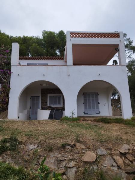 Élagage des branches d'un arbre dans le Var