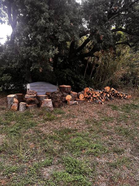 Évacuation de l'ensemble des déchets végétaux