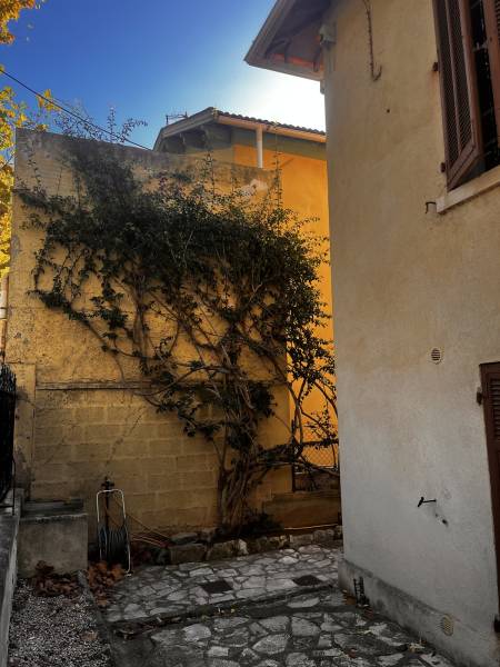 Taille d'un bougainvillier par un jardinier à Toulon