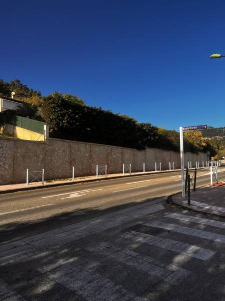 Taille d'une haie à 8 mètres de hauteur à Toulon