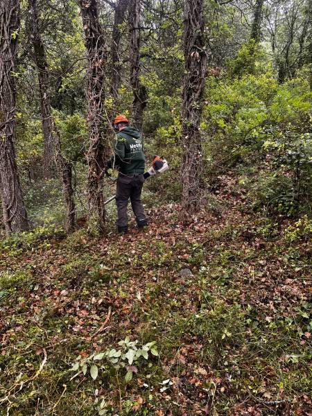 débroussaillement terrain Var