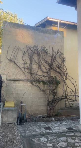 Faire appel à un jardinier pour tailler un bougainvillier dans un jardin à La Valette du Var