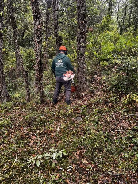 Débroussailler un terrain à Ollioules dans le Var 83