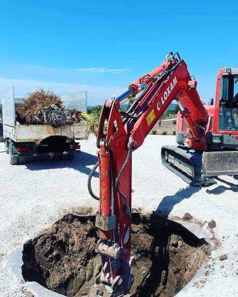 Préparation du sol pour la plantation d'un palmier Washingtonia dans le Var
